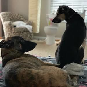 Meet your Posher, Mason